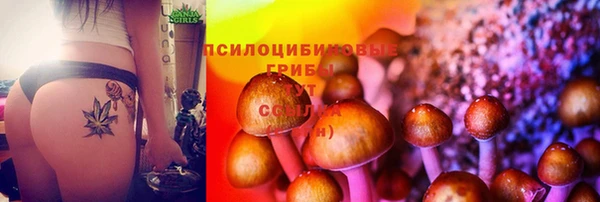 mdma Карталы
