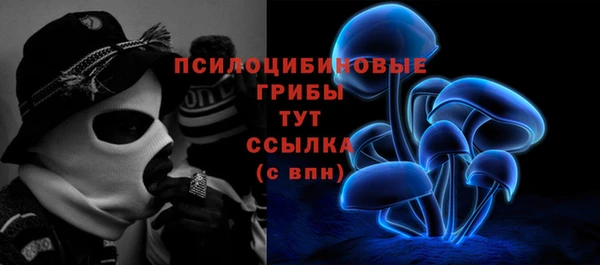 ALPHA-PVP Алексеевка