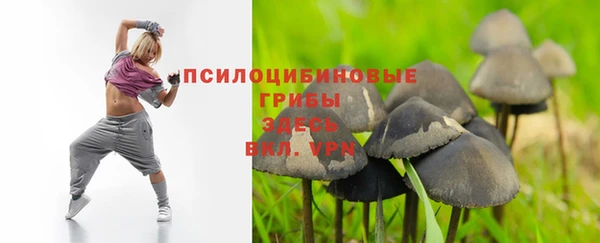 винт Алзамай