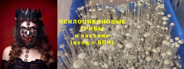 первитин Алексин
