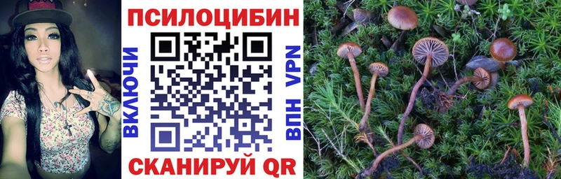Галлюциногенные грибы прущие грибы  наркошоп  Строитель 